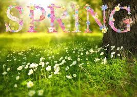 Butterfield Spring Pictures Feb. 15th
