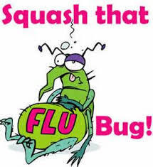 Flu Bug