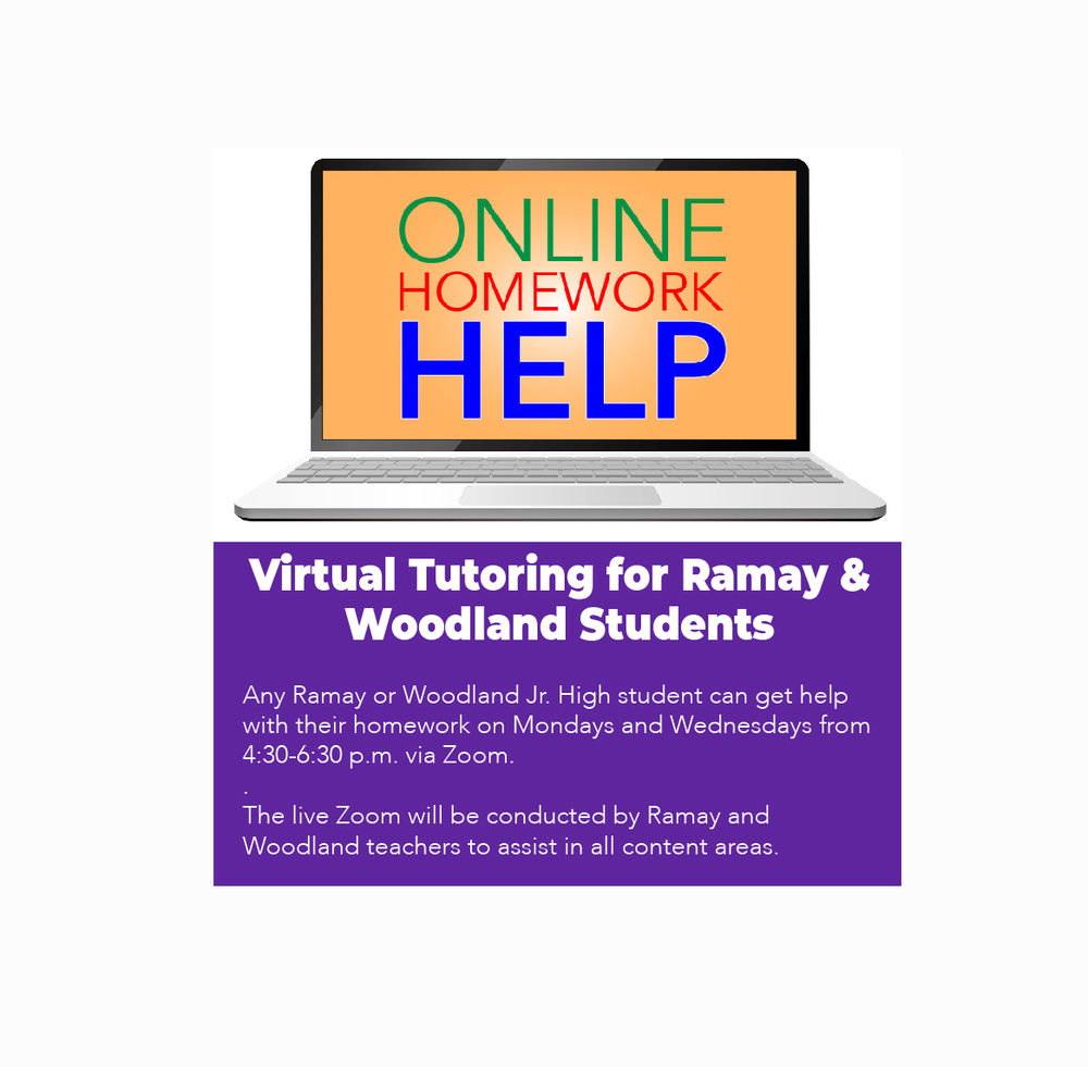 Online Homework Help image with computer and virtual tutoring information