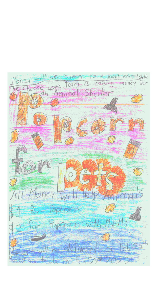 Popcorn for Pets flyer