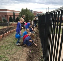 Students Planting Flowers 
