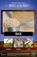 Harvest of the Month: Cheesy Rice