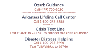 Mental Health Services