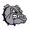 Small_grey_bulldog