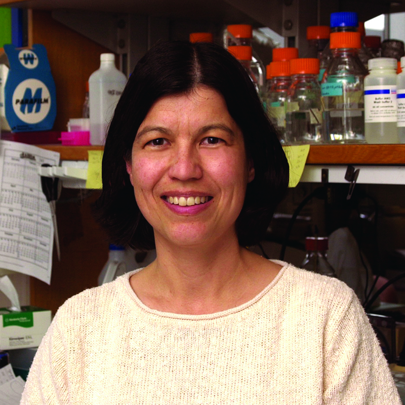 Dr. Mitzi Kuroda, FHS alumna and Professor of Genetics at Harvard Medical School.