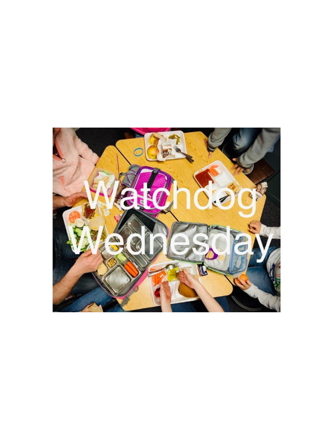 watchdog wednesday flyer
